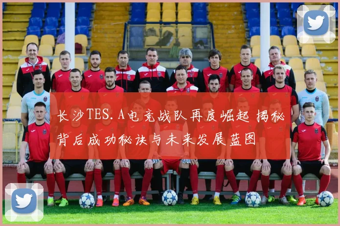 长沙TES.A电竞战队再度崛起 揭秘背后成功秘诀与未来发展蓝图