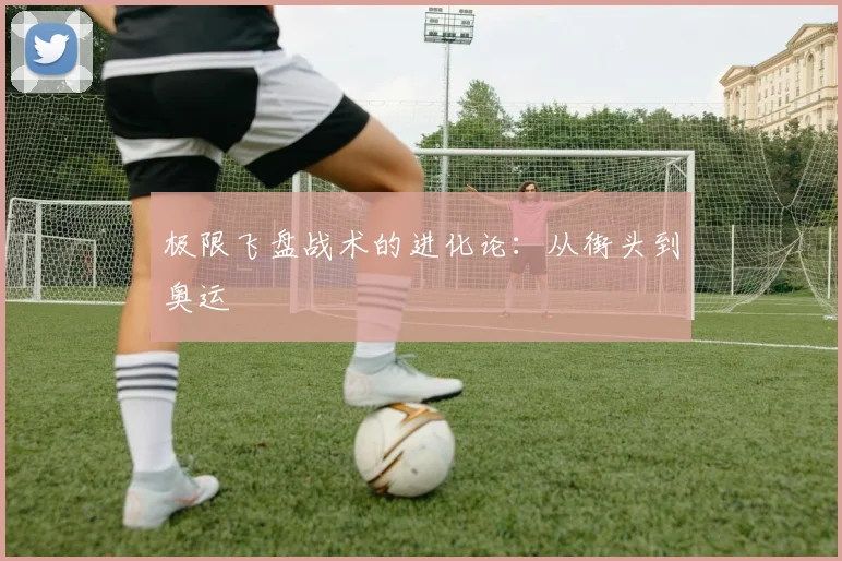 极限飞盘战术的进化论：从街头到奥运