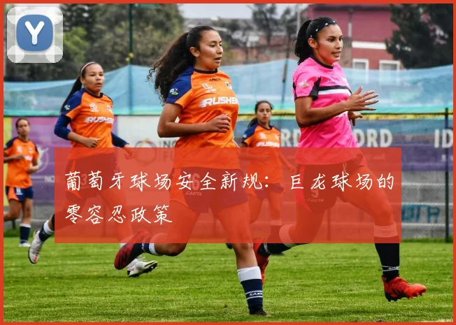 葡萄牙球场安全新规：巨龙球场的零容忍政策