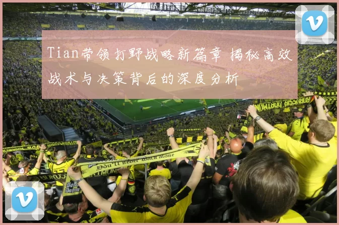 Tian带领打野战略新篇章 揭秘高效战术与决策背后的深度分析