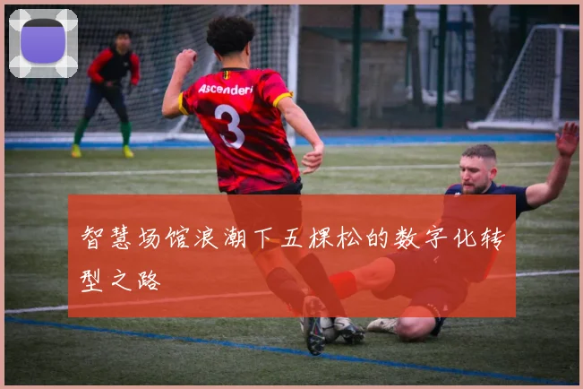 智慧场馆浪潮下五棵松的数字化转型之路